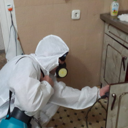 Дезинфекция от муравьев в квартире в Тетюшах