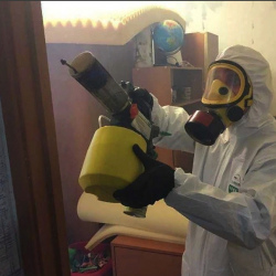 Уничтожение клопов в квартире. Тетюши